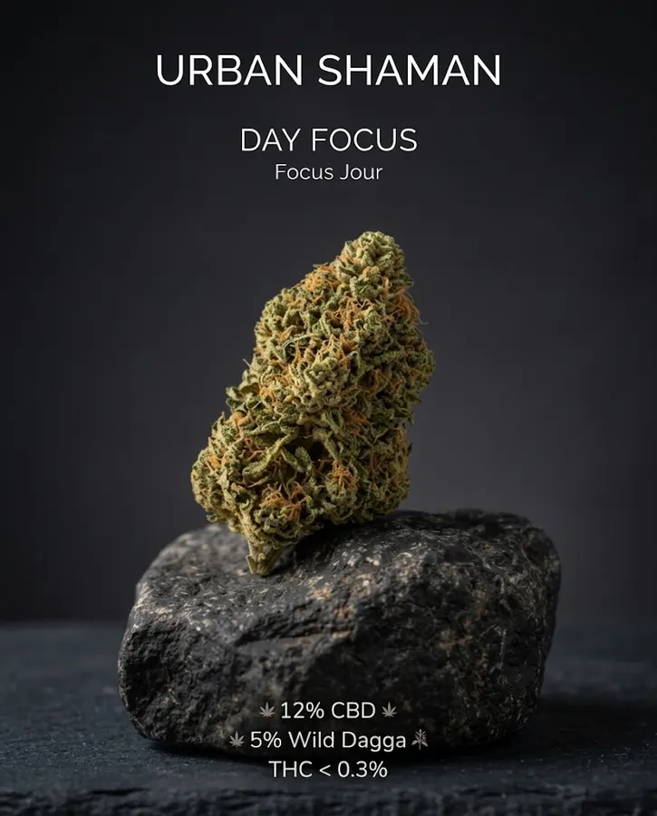 URBAN SHAMAN   -   DAY FOCUS  -  5G